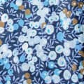 baies-bleues